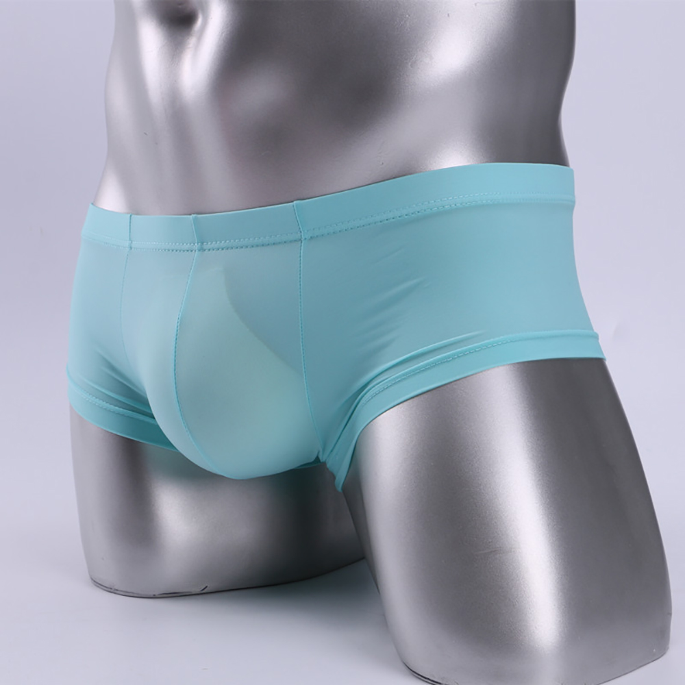 Pouch Boxer Pouch - Yeni erkek seksi düşük bel hafif