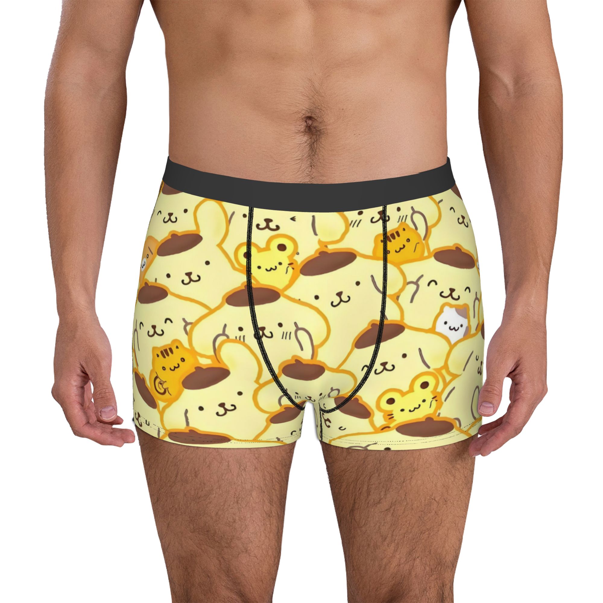 Boxer Shorts Modal - Karikatür Pompompurin İç Giyim Erkek Baskılı