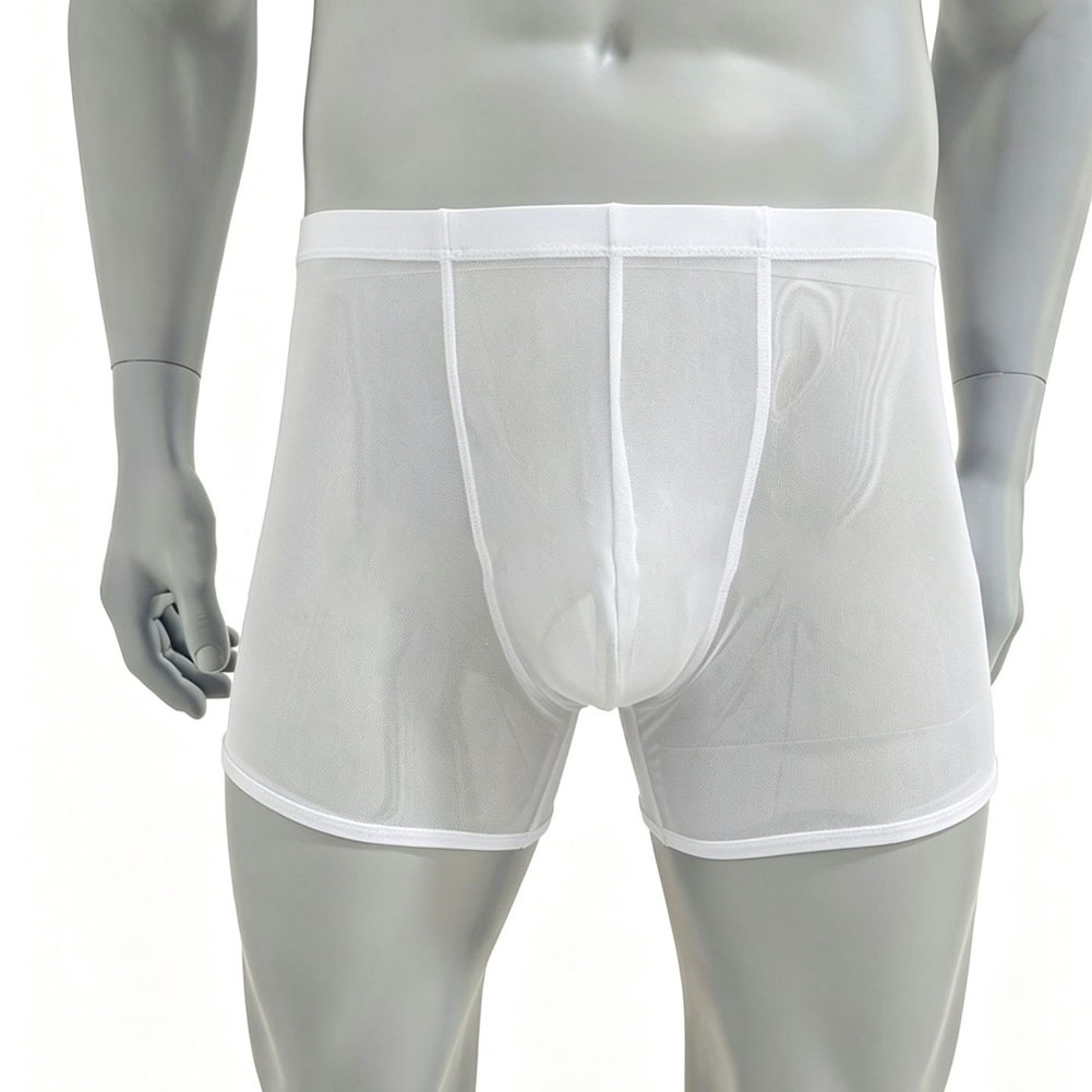 Erkekler Örgü Şeffaf Ultra-inc - Long Leg Trunk Men incelemesi ve fiyatı