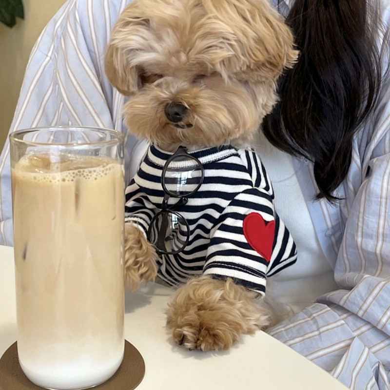 Küçük Köpekler İçin Köpek Yele - Sleeveless Undershirt incelemesi ve fiyatı